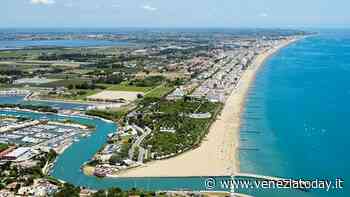 Meduse a Jesolo, Legambiente: «Nessun rischio» - VeneziaToday