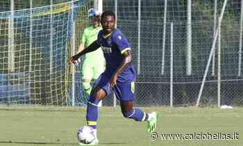 Chi l'azzecca? Il toto formazione gialloblù per il Bari - Calcio Hellas