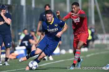 Verona-Bari, votate la vostra la FORMAZIONE DEI TIFOSI per la Coppa Italia! - Calcio Hellas