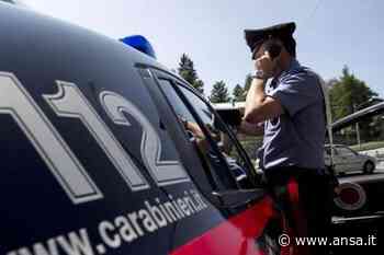 Incidenti stradali: due morti in scontri nella notte a Bari - Agenzia ANSA