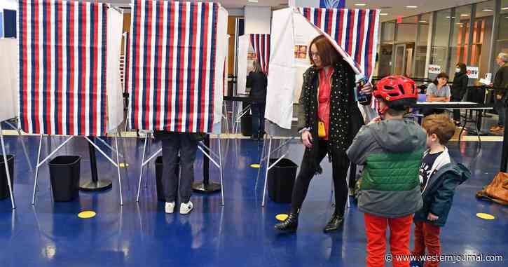 State Board Unanimously Recognizes Small Political Party, Now the Democrats Who Tried to Sabotage It Are in for a Fight
