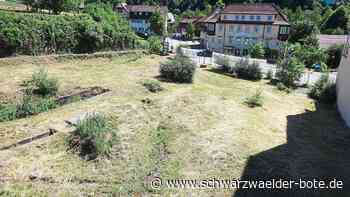 Mühlenareal Bad Liebenzell: Wann wird hier gebaut?