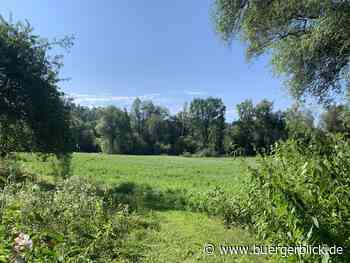 Neuer Recyclinghof Passau-Haibach: Wenn Umweltschutz ein Naturparadies zerstört - Nachrichten - Bürgerblick Passau - Bürgerblick Passau