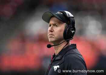 Stampeders coach Dave Dickenson released from COVID-19 protocol - Burnaby Now