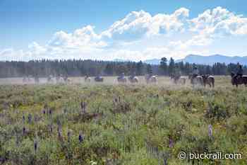 145 years later, Nez Perce Appaloosa Horse Club rides section of Nez Perce trail in Yellowstone - Buckrail