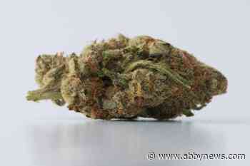 Ottawa on track to spend $200M per year on cannabis for veterans