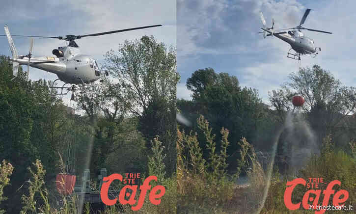 Incendio Carso, treni gran parte soppressi lungo la tratta Monfalcone-Trieste almeno sino alle 14 - triestecafe.it