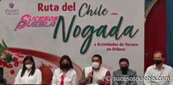 VIDEO: Tendrá Atlixco Ruta del chile en nogada » Sucesos Puebla - sucesospuebla.com