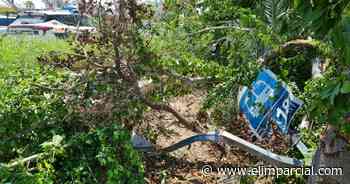 Hermosillo: Usuaria de Transporte Urbano con leves lesiones luego de que un auto impactara con la parada de camiones - EL IMPARCIAL Sonora