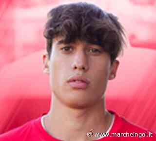MERCATO. AFC Fermo, largo ai giovani: torna Filippo Bartoli - marcheingol.it
