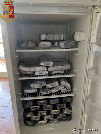 Sequestrati 40 kg di droga, tre arresti e un fermo - Agenzia ANSA