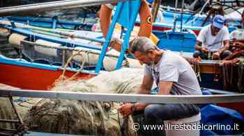 Fermo pesca 2022 in Adriatico: stop al pesce fresco a tavola - il Resto del Carlino