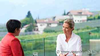 Weidel: Ablehnung von Homosexualität „haben Sie überall“