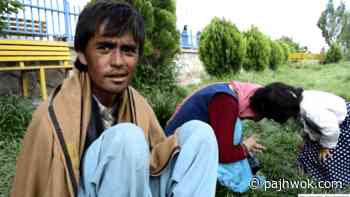Ghazni drug addicts rehab centre facing medicine equipment shortage - Pajhwok Afghan News