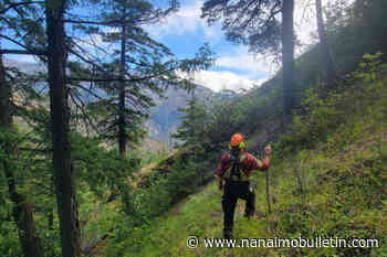 Evacuation alerts lifted while Nohomin Creek Fire continues to burn - Nanaimo Bulletin