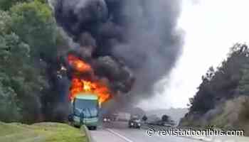 Vídeo: Ônibus da Catarinense pega fogo na BR-376, em Guaratuba - Revista do Ônibus