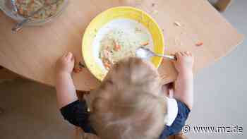 In KRippe Duderstadt: Erzieher sollen Kinder zum Essen gezwungen haben - Staatsanwaltschaft ermittelt - Mitteldeutsche Zeitung