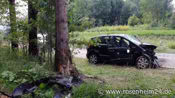 Rohdorferin (39) nach Kollision mit Baum schwer verletzt - aber außer Lebensgefahr