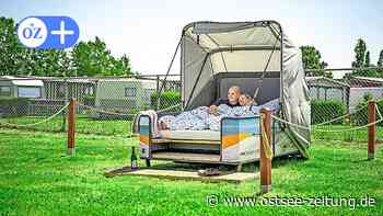 Campingplätze bei Wismar locken mit Luxus-Zelten, Fässern und XXL-Strandkorb - Ostsee Zeitung