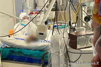 Meno di 450 i ricoverati col Covid in Puglia - TerlizziViva