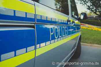 Tötungsdelikt beschäftigt Kriminalpolizei in Chemnitz - Medienportal-Grimma