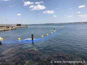Siccità e crisi idrica Crotone: Non ci resta che l'acqua del mare... - Fantapol News