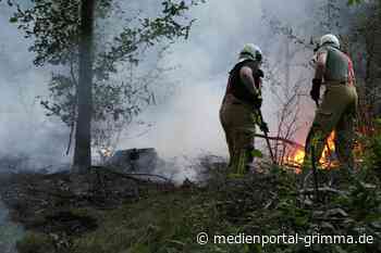 Großeinsatz: Brandstifter legen mehrere Feuer in Grimma - Medienportal-Grimma