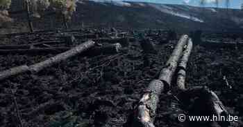 Branden in Bretagne leggen meer dan 300 hectare in de as - Het Laatste Nieuws