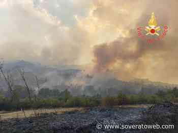 Vasto incendio di vegetazione nel crotonese, vdf al lavoro - Soverato Web