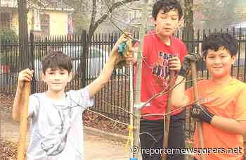 The Environmental Gardener: How to grow a kid’s interest in gardening - Reporter Newspapers