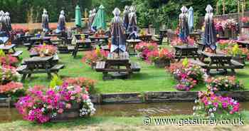 The Surrey village pub with incredible hanging baskets every gardener will be jealous of - Surrey Live