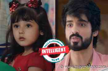Yeh Hai Chahatein: Intelligent! Ruhi’s masterplan, Rudraksh turns gardener - Tellychakkar
