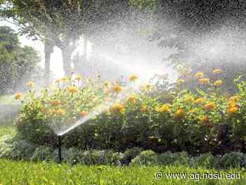 Dakota Gardener: Tips on watering gardens — Extension and Ag Research News - NDSU Agriculture