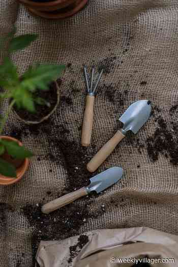 Are Interested in Becoming an Ohio State Master Gardener? - The Weekly Villager