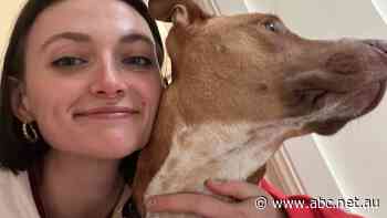 One income doesn't cut it anymore. Record numbers of young people are turning to 'side hustles'