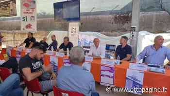 Marchigiana, allevatori uniti per tutelare un'eccellenza - Ottopagine