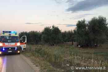 Tre morti, 30 feriti e 15 incidenti nel 2021: la provinciale Andria-Bisceglie è la strada più pericolosa della Bat - TraniViva