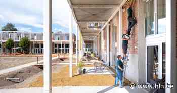 Gumm cohousing opent vogelhotel: “Huiszwaluwen zijn in vrije val” - Het Laatste Nieuws