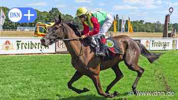 Saisonbestwert in Dresden-Seidnitz: 6200 Zuschauer beim Galopp dabei - Dresdner Neueste Nachrichten