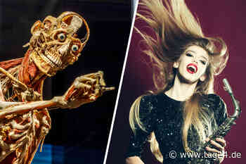 Dresden: Sieben Ausflugs-Tipps zum letzten Juli-Sonntag 2022 - TAG24