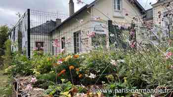 À Bernay, une exposition pour apprendre à (bien) cultiver son jardin - Paris-Normandie