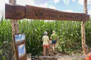 Ausflugtipp Renninger Maislabyrinth - Keine Angst vor dem Minotaurus - Leonberger Kreiszeitung