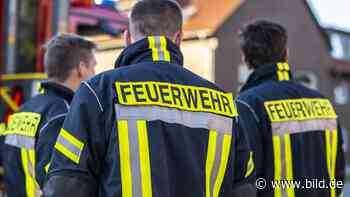 Großbrand bei Amberg: Eine Millionen Euro Schaden | Regional - BILD