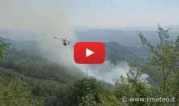 Meteo Cronaca diretta: (Video) Alessandria, grosso incendio distrugge i boschi di Spigno Monferrato - iLMeteo.it