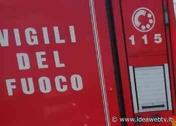 Cuneo: Vigili del Fuoco ad Alessandria per alcuni incendi boschivi - IdeaWebTv