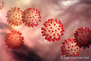 373 new cases of coronavirus reported in Punjab - Pakistan Observer