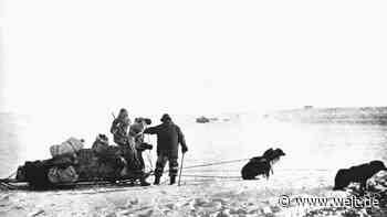 Roald Amundsen am Südpol: Hunde verschafften ihm den Vorsprung - WELT - WELT