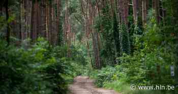 Fiets een rondje doorheen Zoersel | Zoersel | hln.be - Het Laatste Nieuws