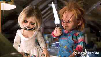 Was Puppen in Horrorfilmen so gruselig macht | Leben & Wissen - BILD