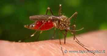 West Nile: diagnosticati i primi 2 casi in provincia di Cremona - La Provincia di Cremona e Crema